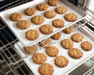 سینی فر گالوانیزه موج