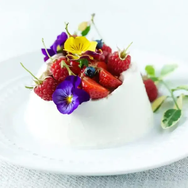 اسانس خوراکی خارجی آلوئه ورا Aroma verici - Image 5