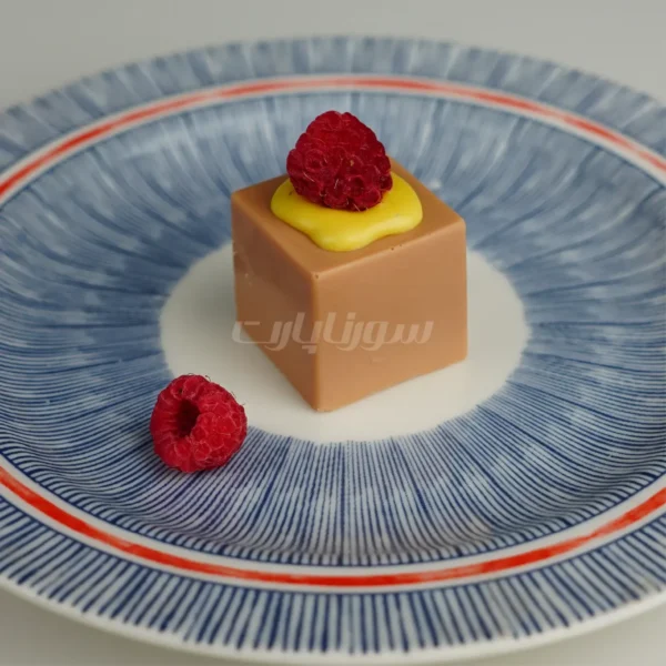 قالب سیلیکونی مکعب مربع ۳ سانتی ۲۴ عددی سورناپارت - تصویر 5