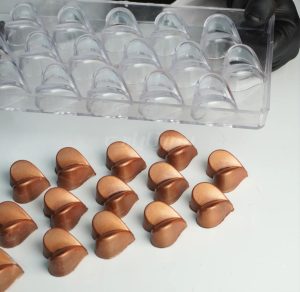  قالب پلی‌کربنات قلب پروانه سورناپارت