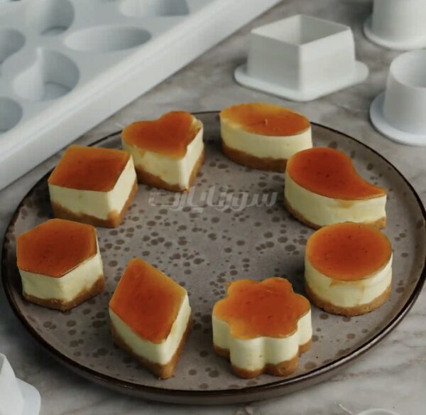 قالب میگنوپورشن میکس سورناپارت - Image 4