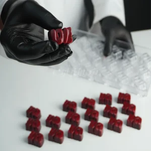 قالب پلی‌کربنات لاو سورناپارت کد 22