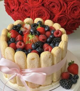 بیسکویت لیدی فینگر تیرامیسو امیران بسته بزرگ ۲۱۰ گرم