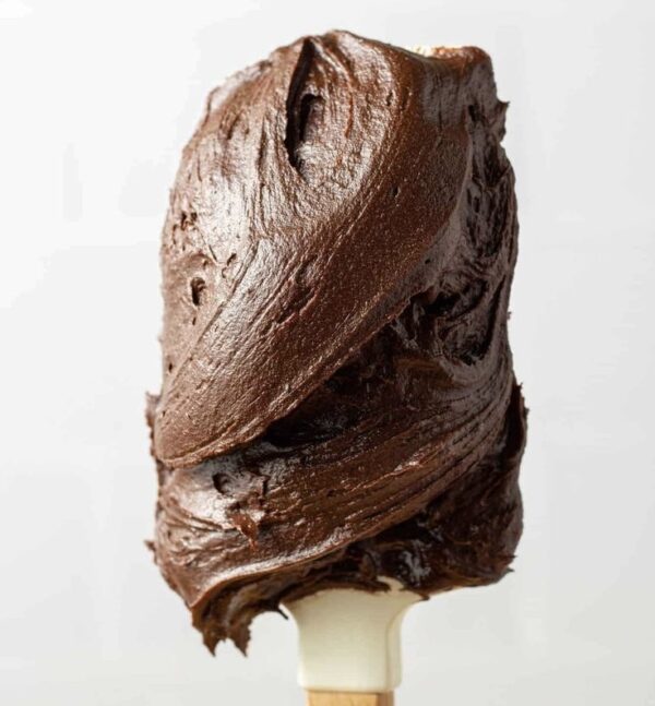 رنگ خوراکی ژله ای شکلاتی اسکارلت ۲۵ گرمی - Image 3