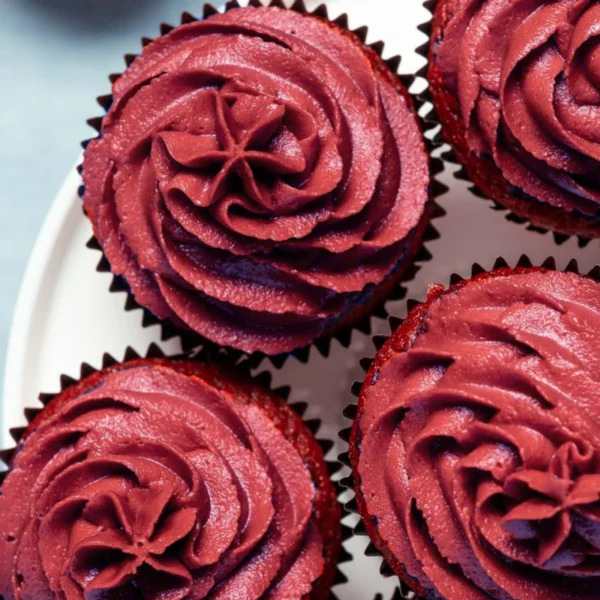 رنگ خوراکی ژله ای  عنابی (Sangria) کپی کیک 35 گرمی - Image 2