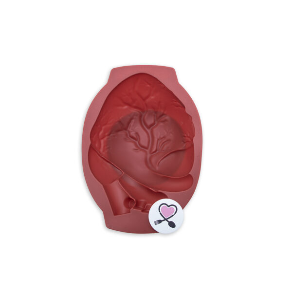 IMG_2847 مولد سه بعدی سیلیکونی خارجی اعلا طرح قلب آناتومیک - Image 1