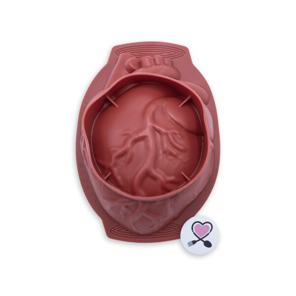 مولد سه بعدی سیلیکونی خارجی اعلا طرح قلب آناتومیک - Image 2