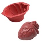 مولد سه بعدی سیلیکونی خارجی اعلا طرح قلب آناتومیک - Image 3