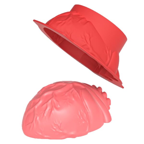 مولد سه بعدی سیلیکونی خارجی اعلا طرح قلب آناتومیک - Image 4