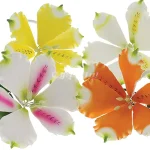 ست گل آلسترومریا گلسازی - Image 2